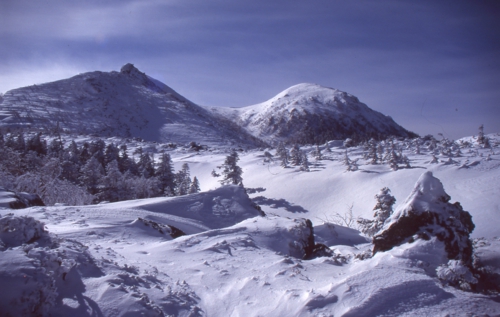 MS1-㈪ 冬 img015.jpg