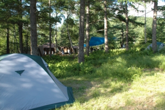 MS1-㈫  林間のキャンプ場DSC_6489[1].JPG